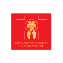 AVCV Logo