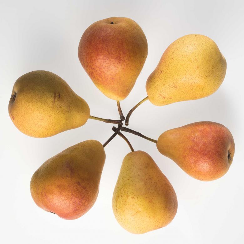 © Agroscope Carole Parodi