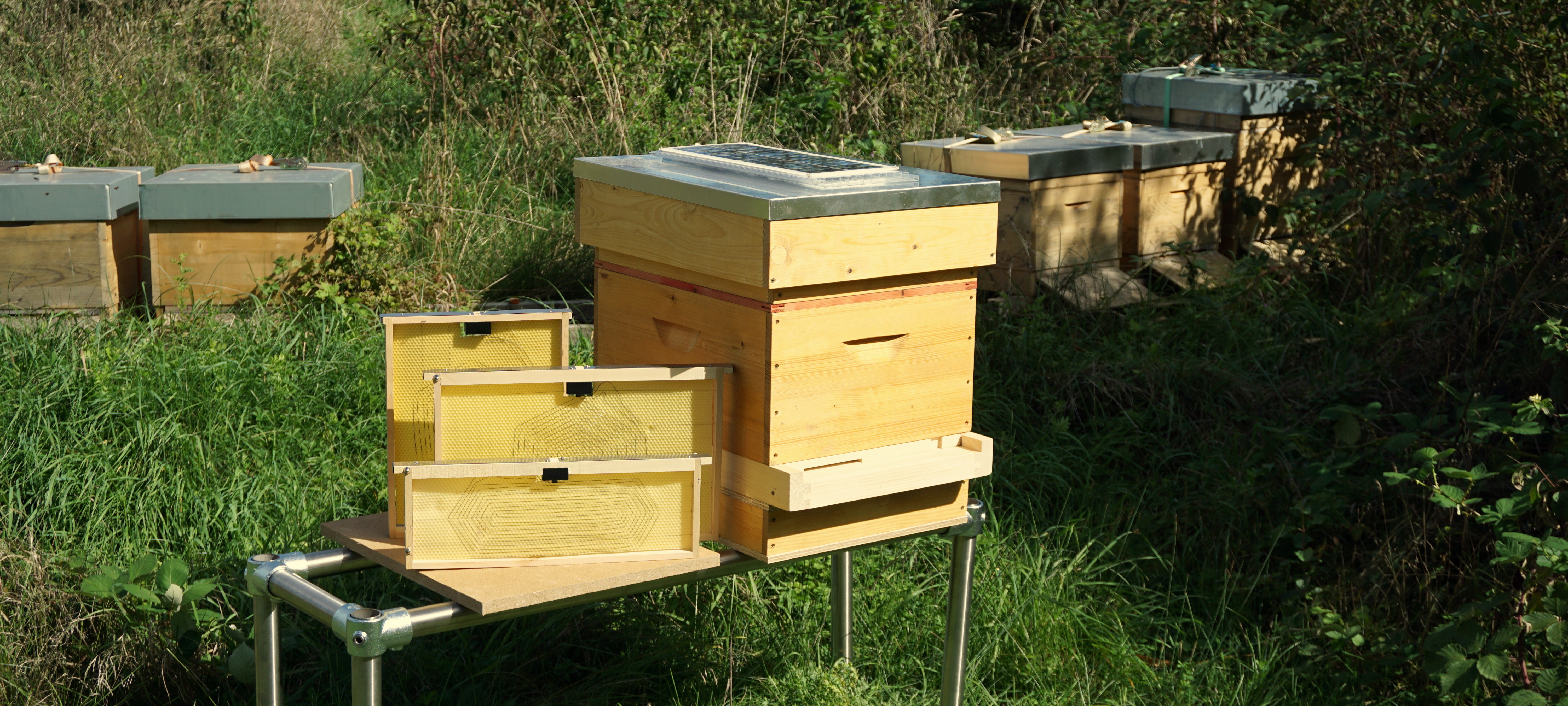 Environment – Varroa solution/Image credit: Vatorex AG