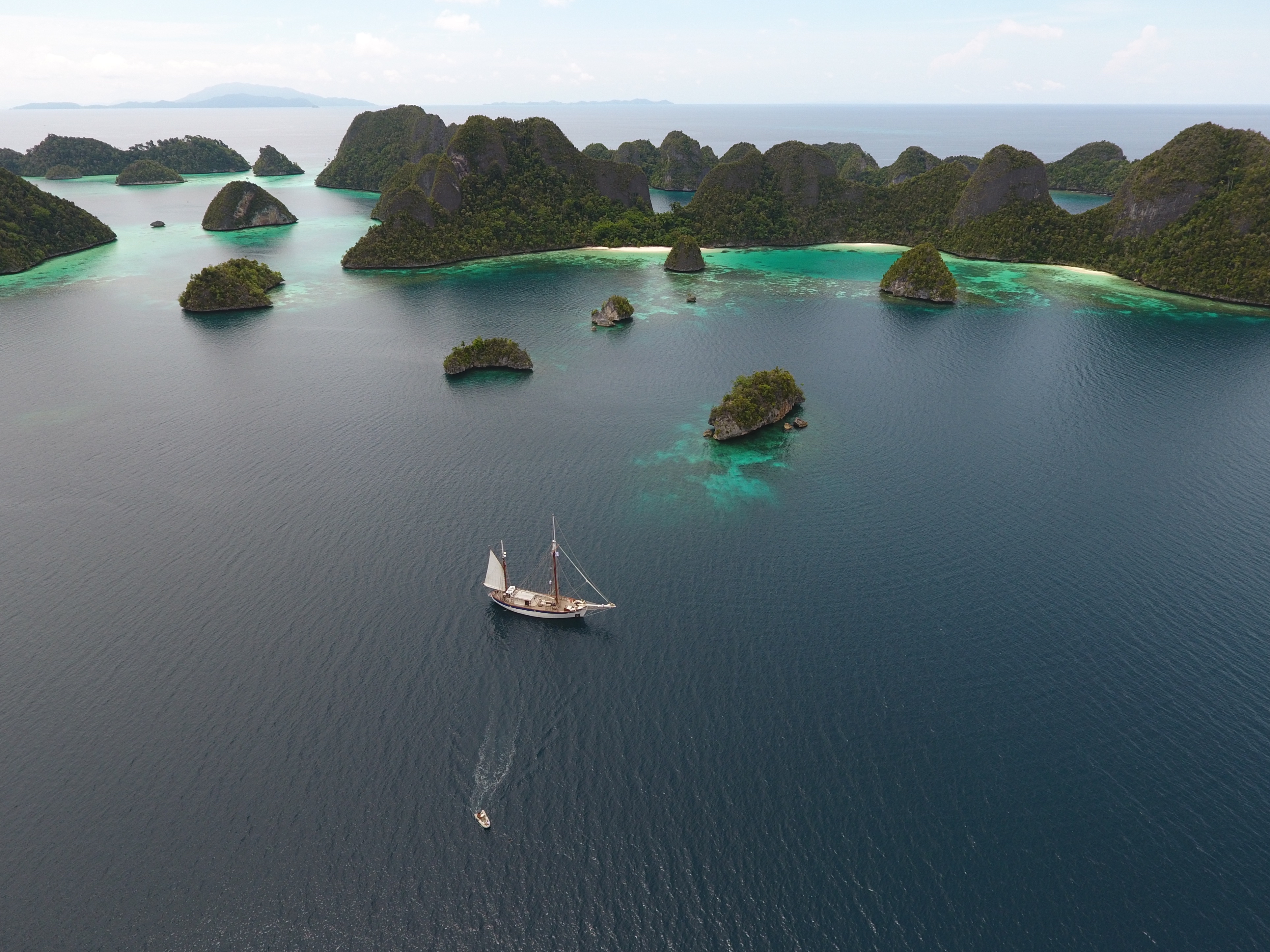 Fleur de Passion à Rajah Ampat, Indonésie