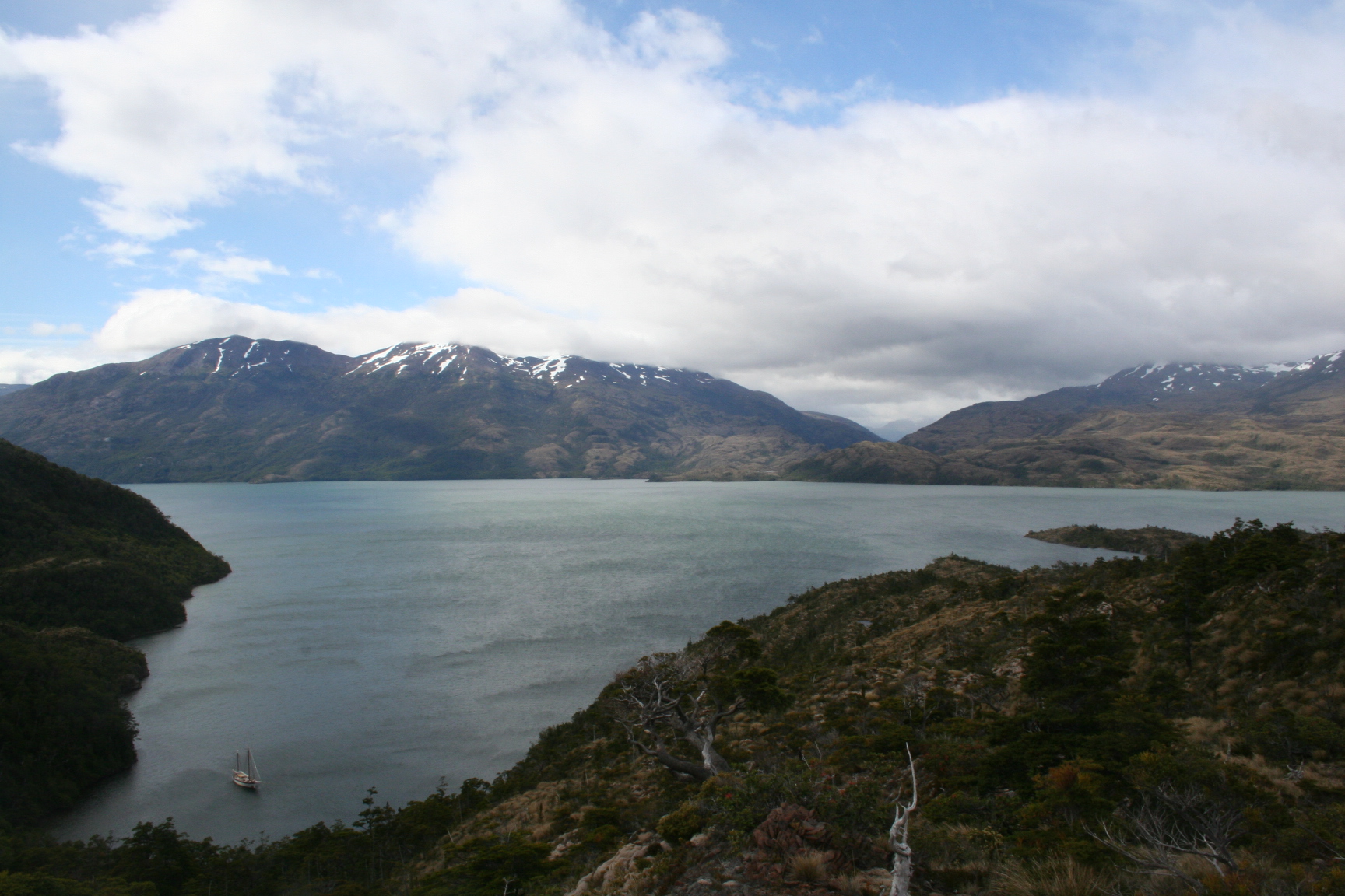 Fleur de Passion dans le détraoit de Magellan