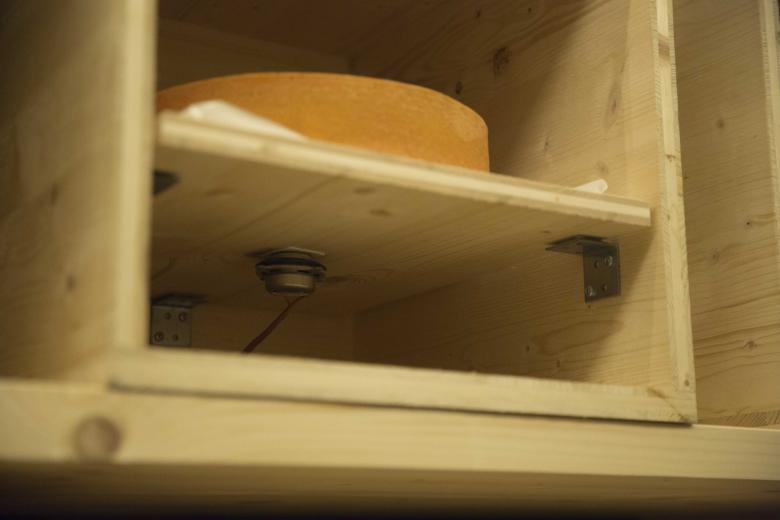 Each cheese is placed in a wooden crate and is subjected to a different sound. 