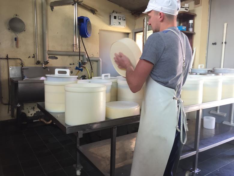 Cheese is moulded and put in brine