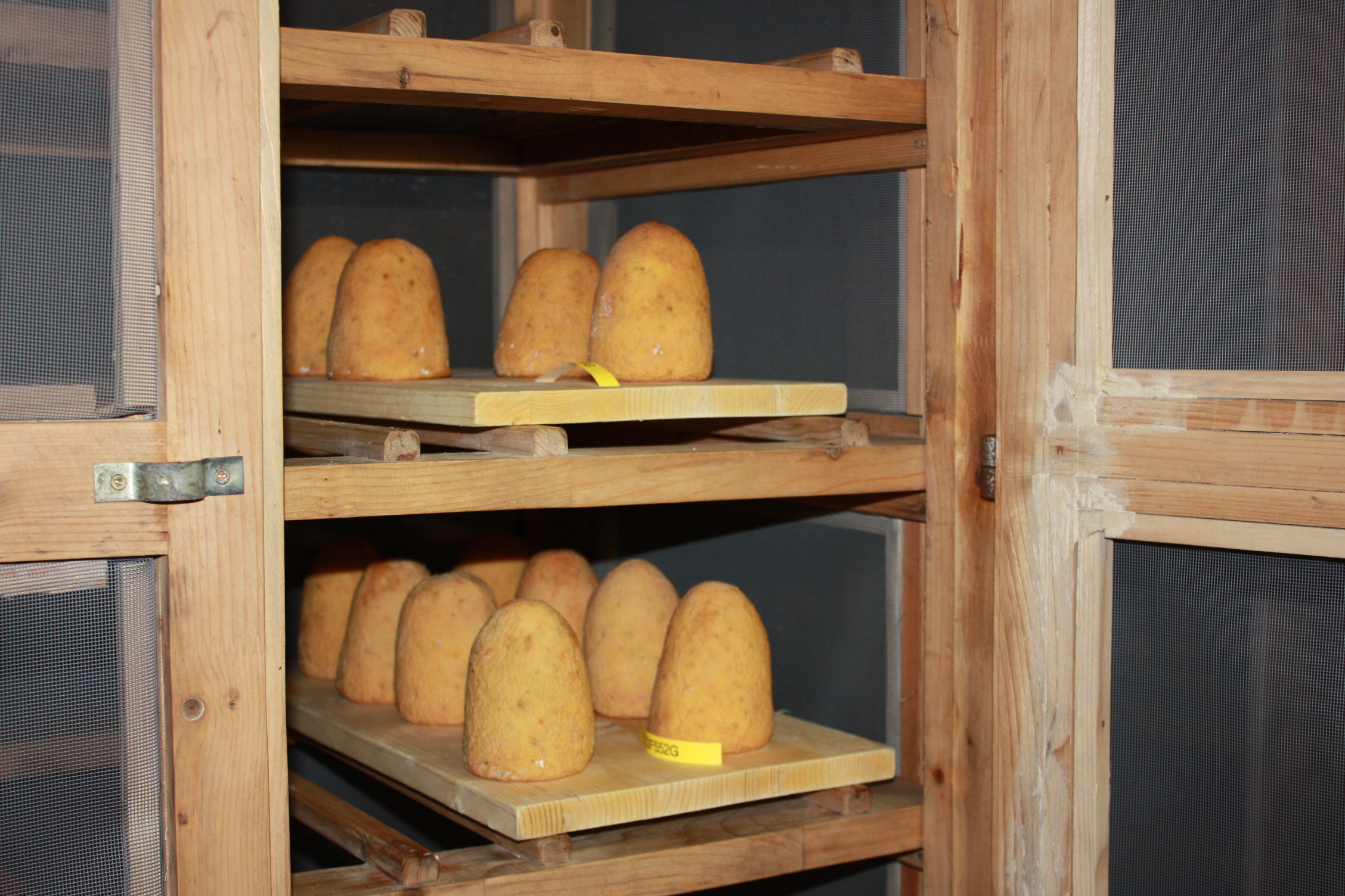 The "Gincarlin" cheeses are matured with local gin.