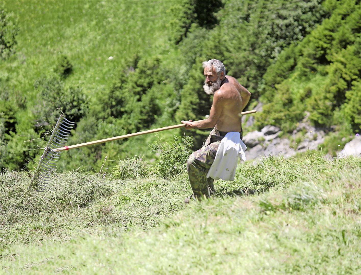 Wild hay in Schächental