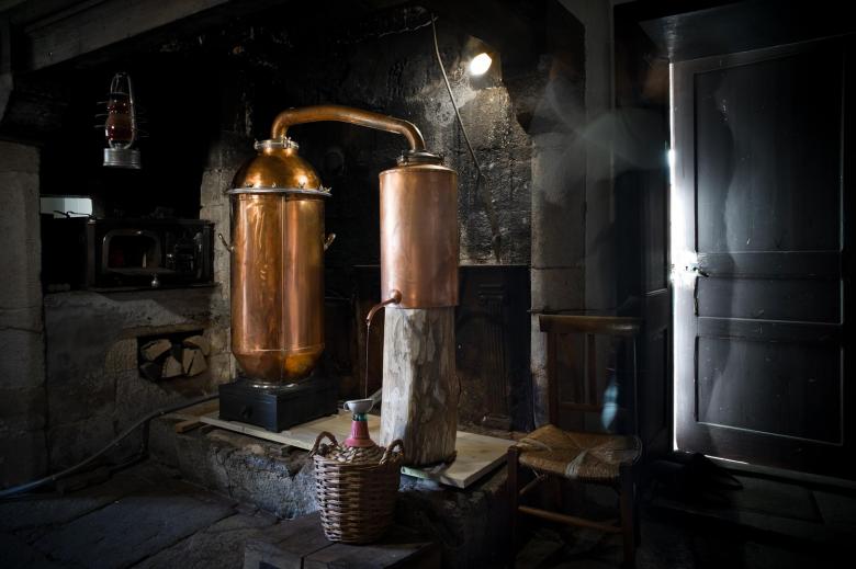 distillation absinthe