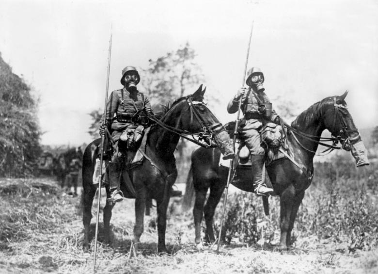 Even the Swiss army wanted to equip its horses with gas masks as the Germans had for their soldiers at the western front in the First World War.