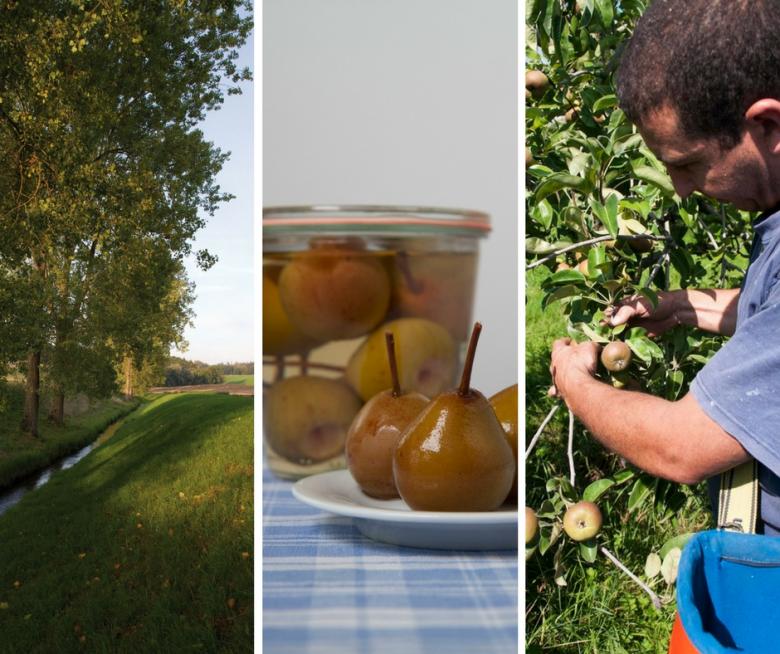 La Poire à Botzi