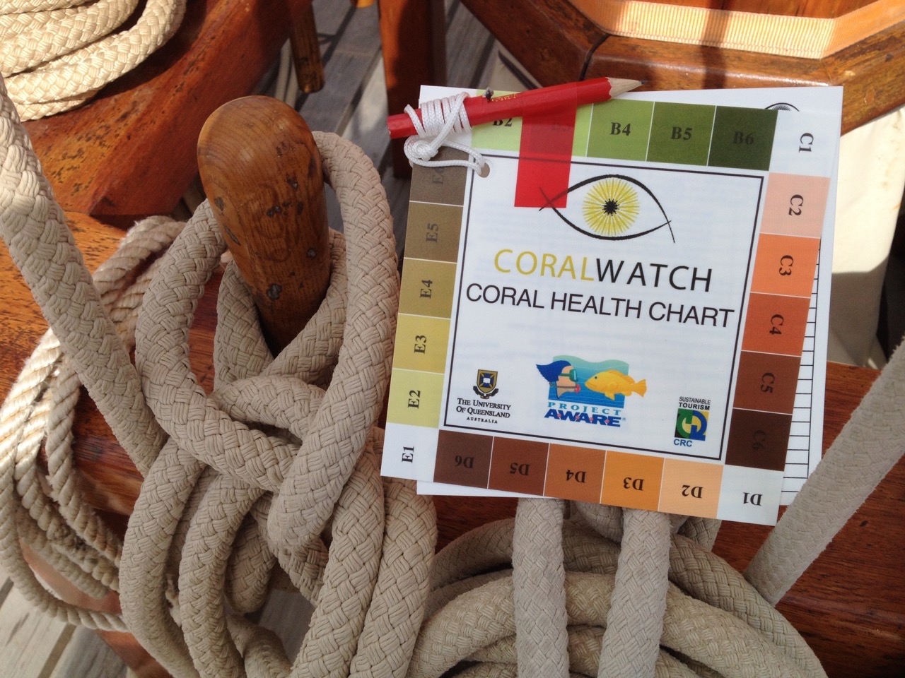 Programme CoralWatch sur le blanchissement des coraux