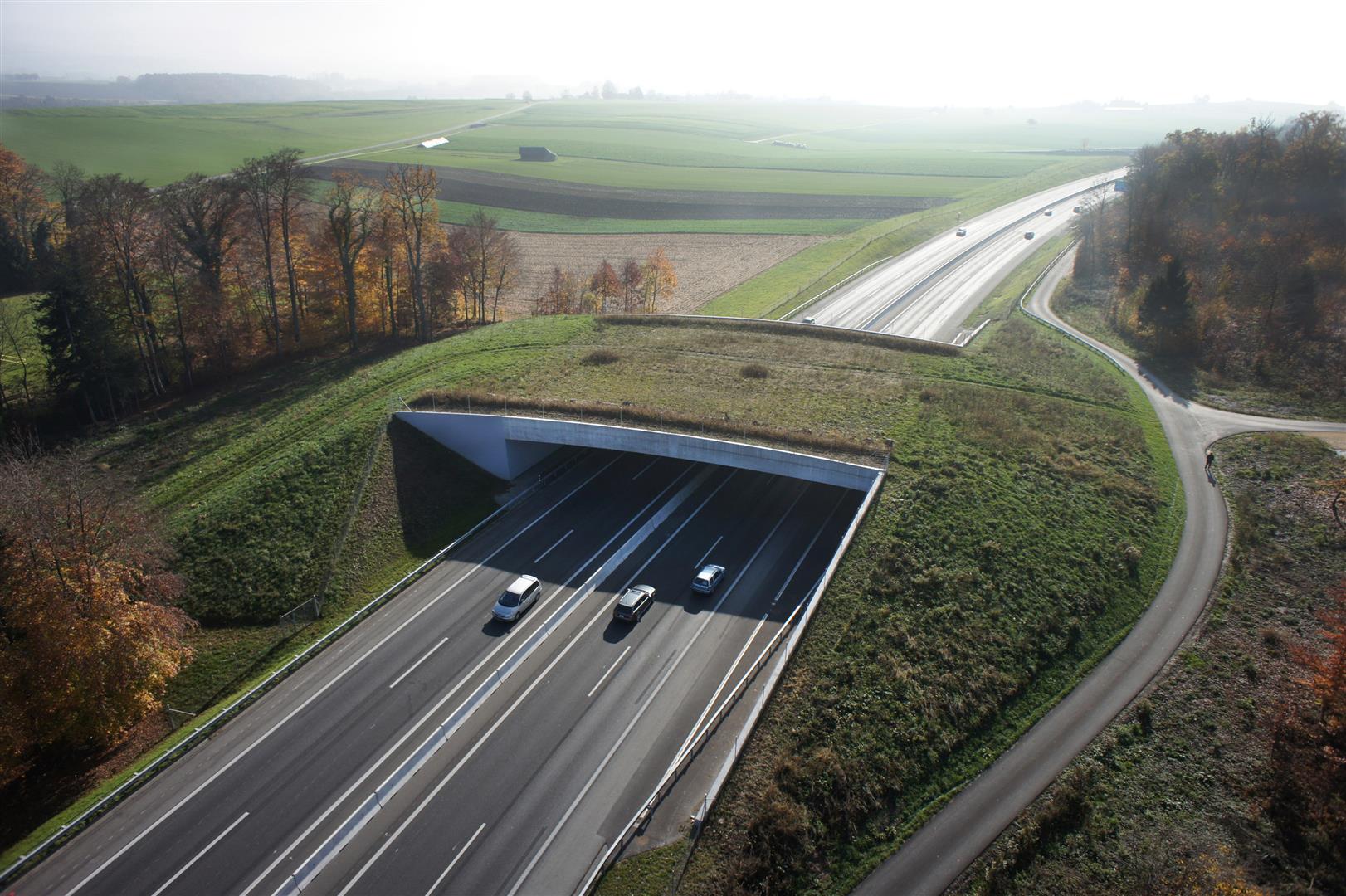 Swiss highway
