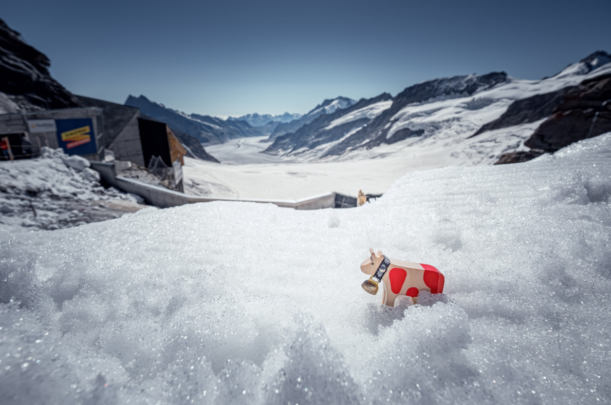 Happy Lilly au Junfraujoch