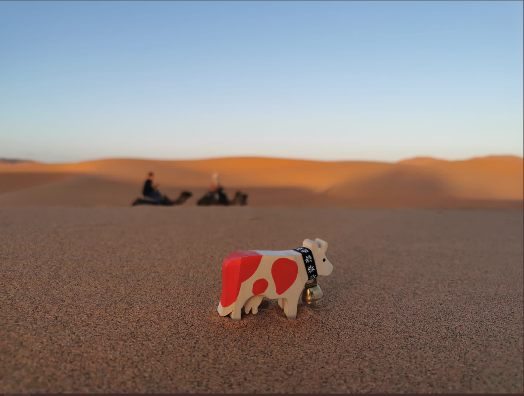 Happy Lilly aux portes du désert, au Maroc