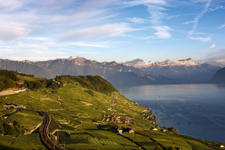Lavaux