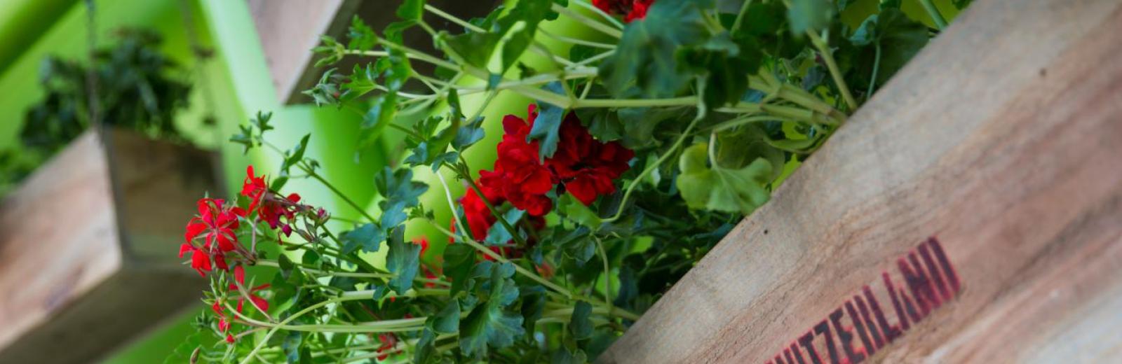 House of Switzerland Paris 2016