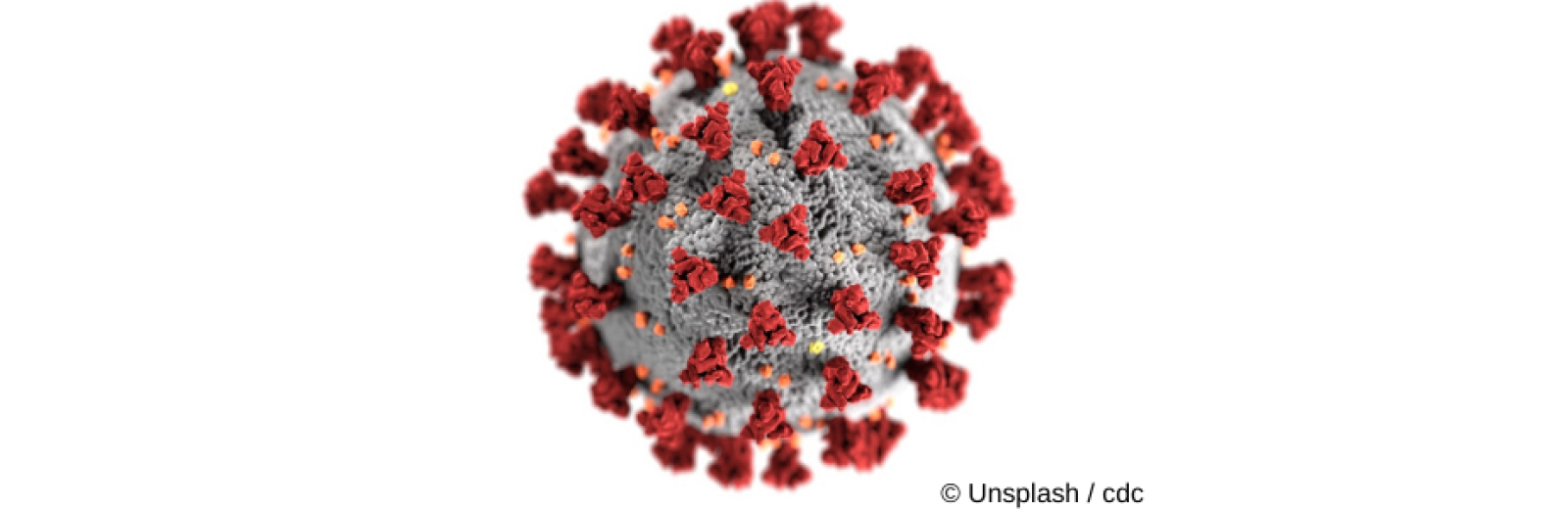 Coronavirus