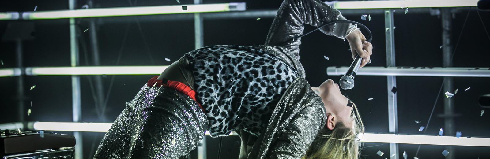 silver, marie christine hominal