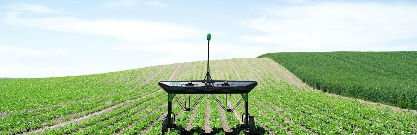 90% d’herbicide doit pouvoir être économisé grâce au désherbage ciblé du robot © ecoRobotix