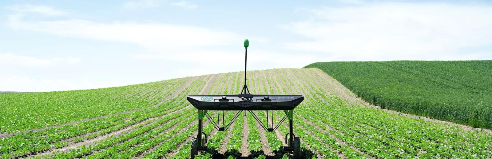 90% less herbicide thanks to the robot’s targeted weeding © ecoRobotix 