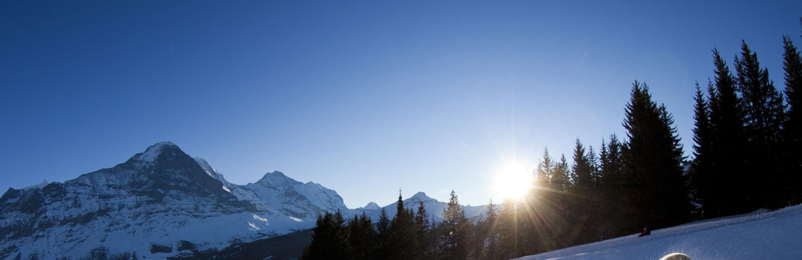 Sledging in Grindelwald © grindelwaldbus – David Birri