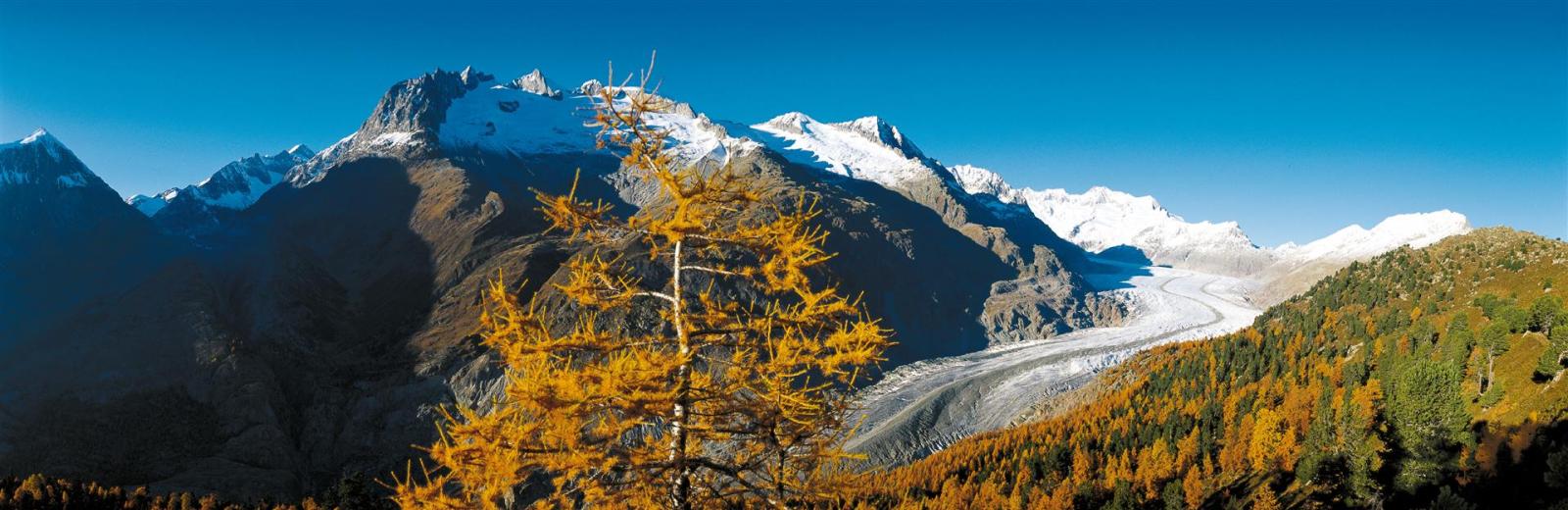 Alpi svizzere Jungfrau-Aletsch