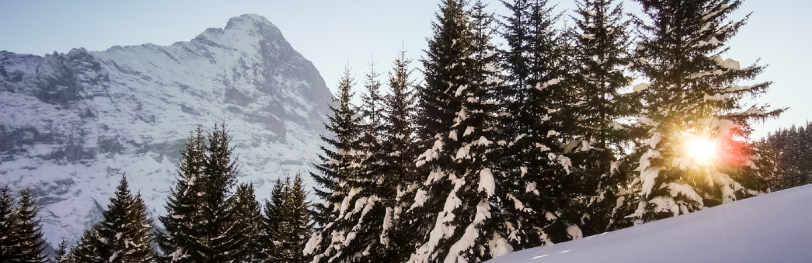 1.	Snow-capped woods in Grindelwald with the Eiger in the background. © FOEN