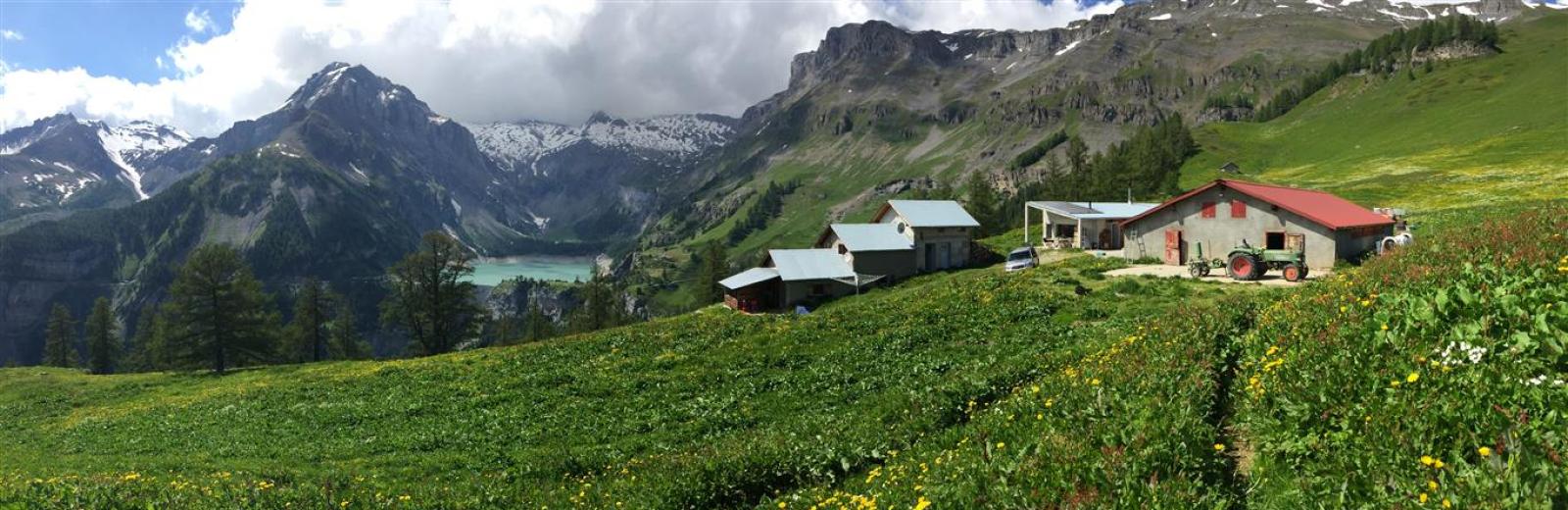 Die Alp der Familie Mudry befindet sich oberhalb des Rawilstaudamms und des Tseuziersees, in der Nähe von Anzère im Wallis.