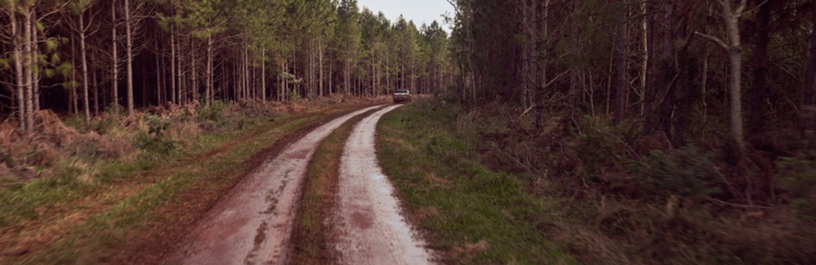 Projetos sustentáveis na América Latina