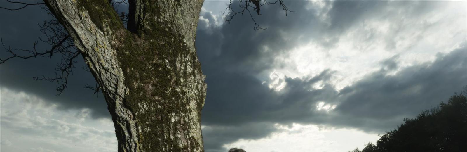 Patrick Rouiller (Nouvelle Star)