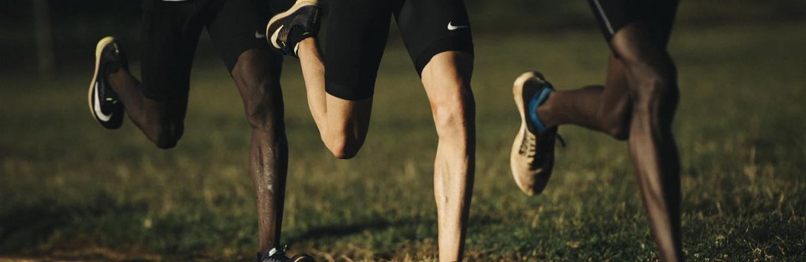 copyright Guillaume Megevand 