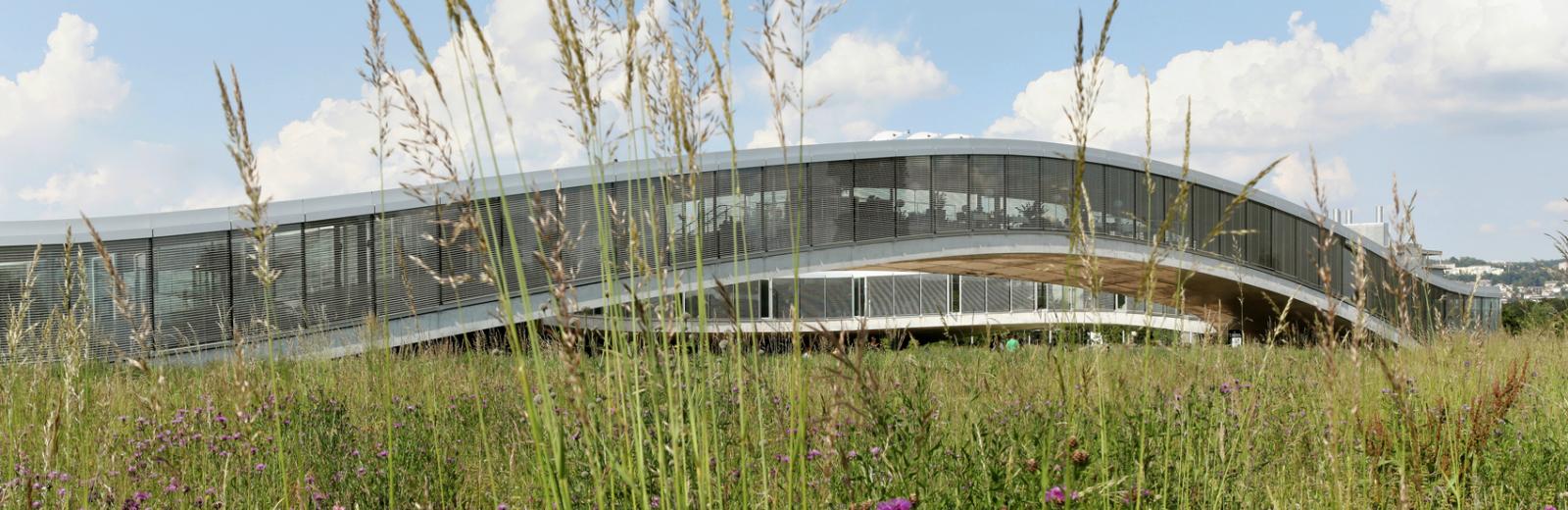 Rolex learning center