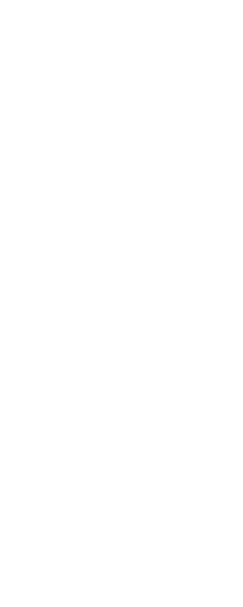 infographic casa suiza