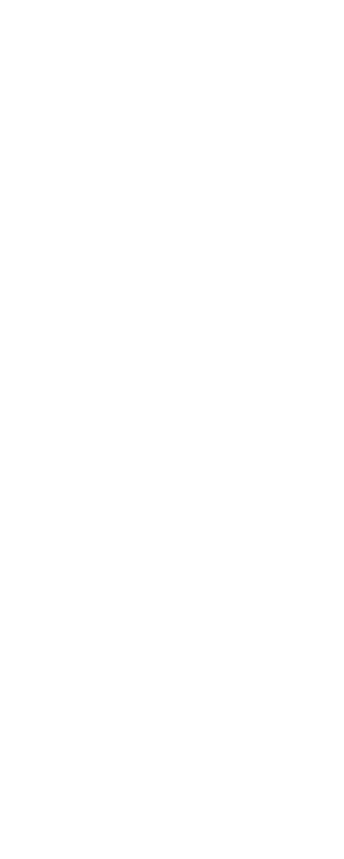 Sochi Infographique