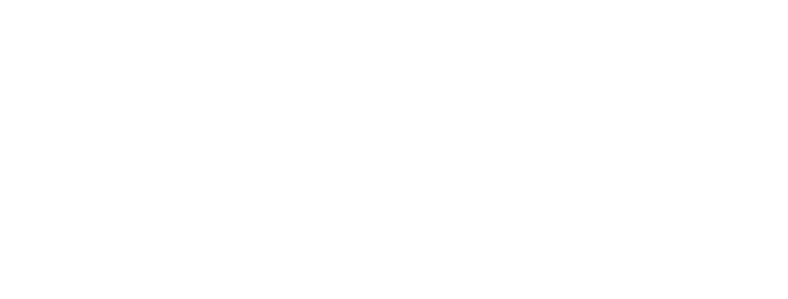 infographic casa suiza