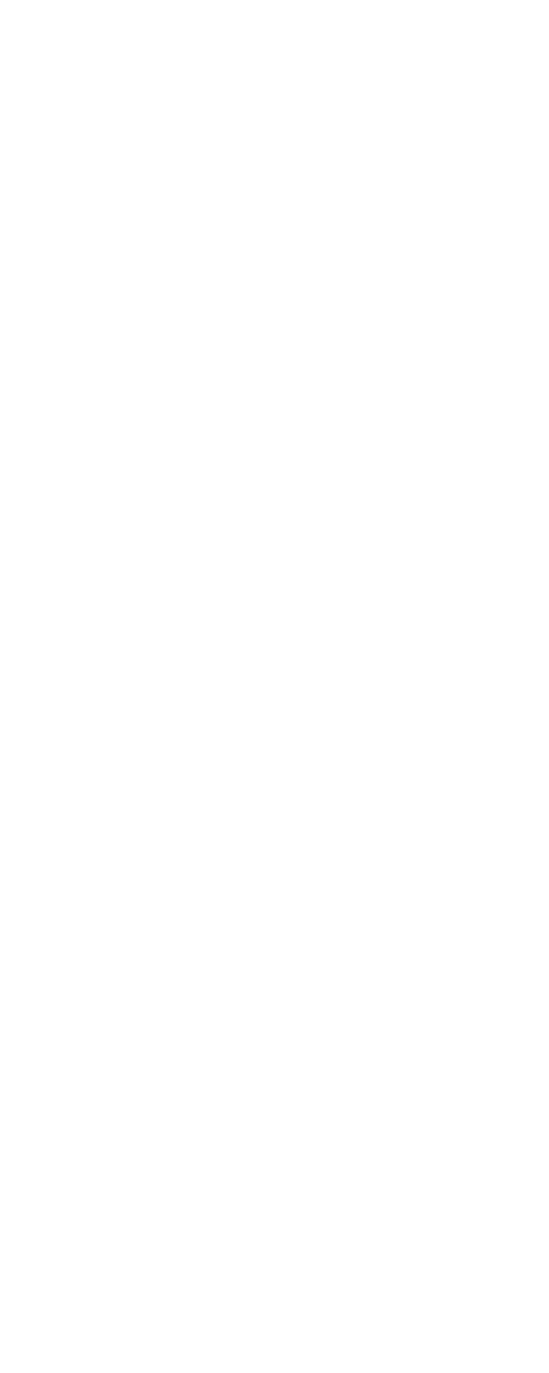 Infographic Swiss celebrations