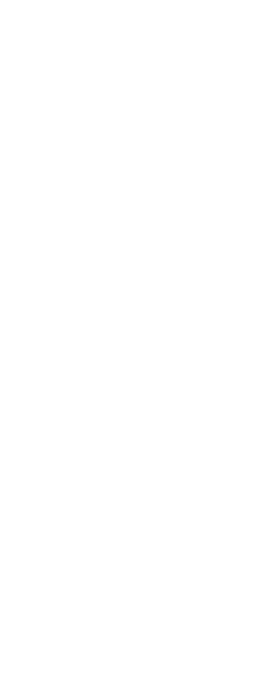 Infografic St Nicholas