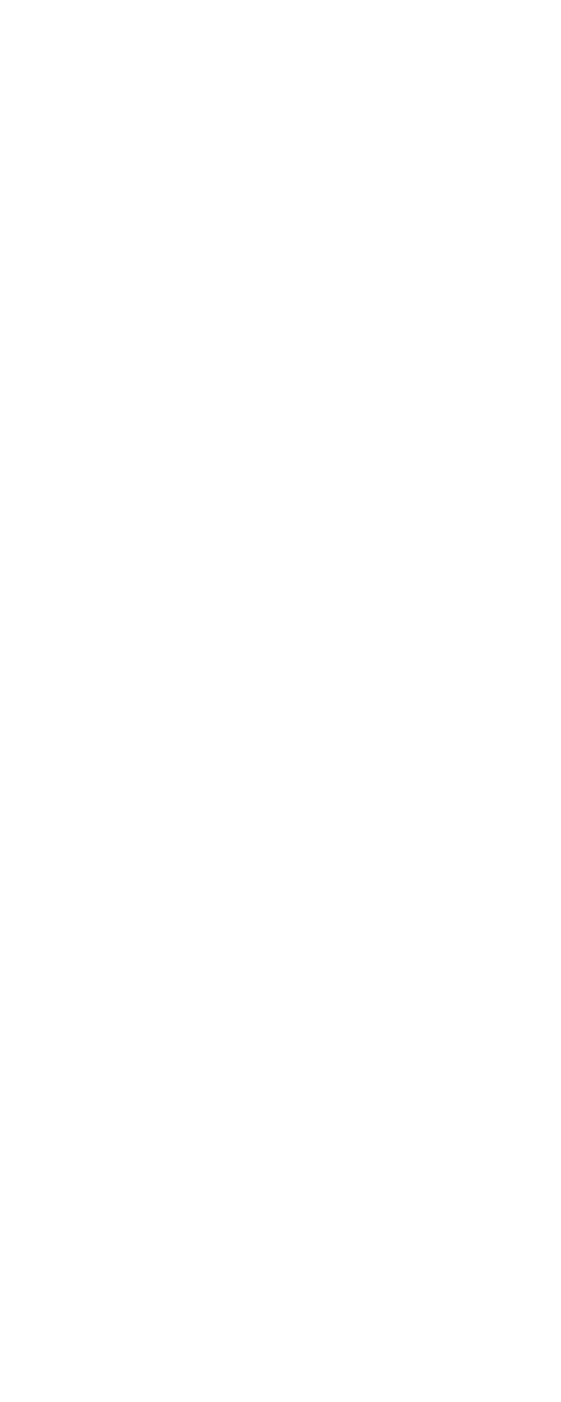 Infographie Saint-Nicolas
