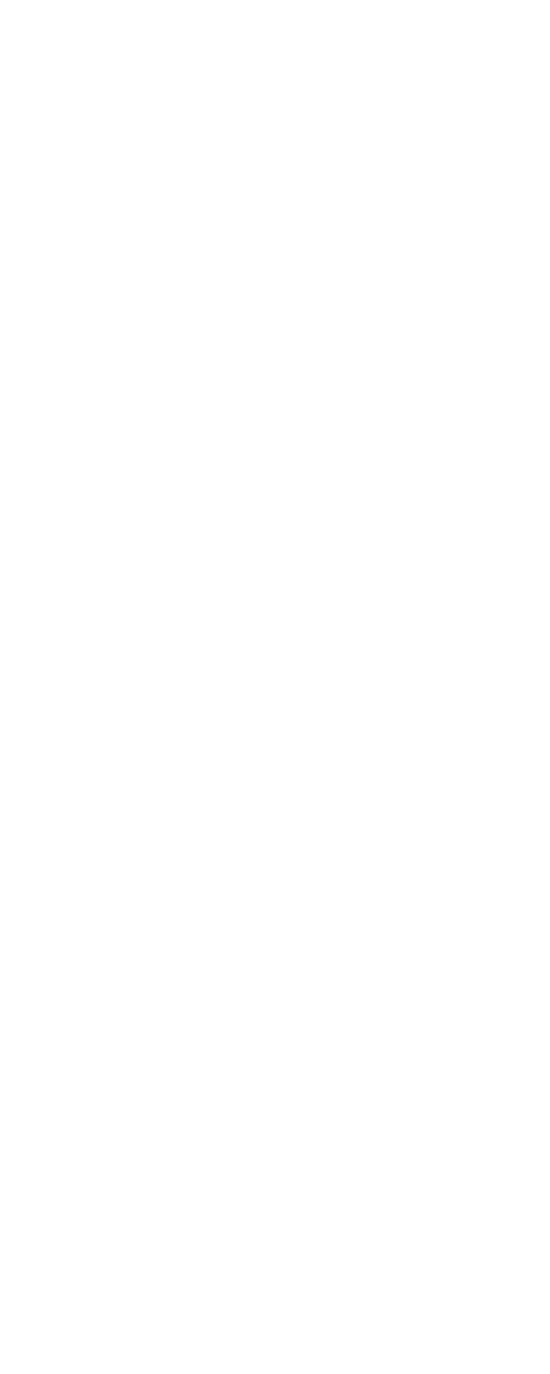 Computergrafik swiss fashion 