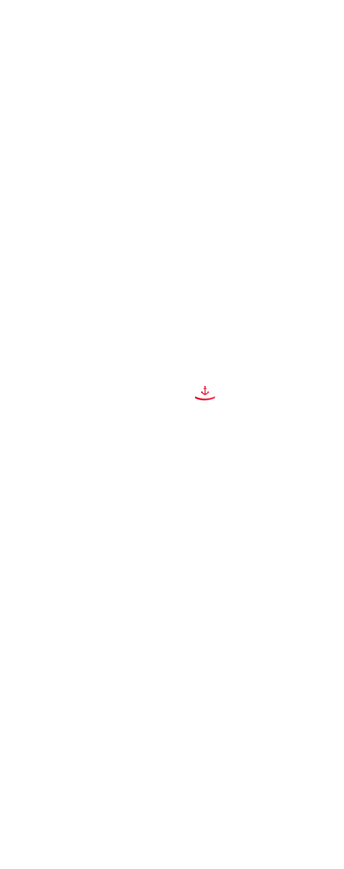 Infografica