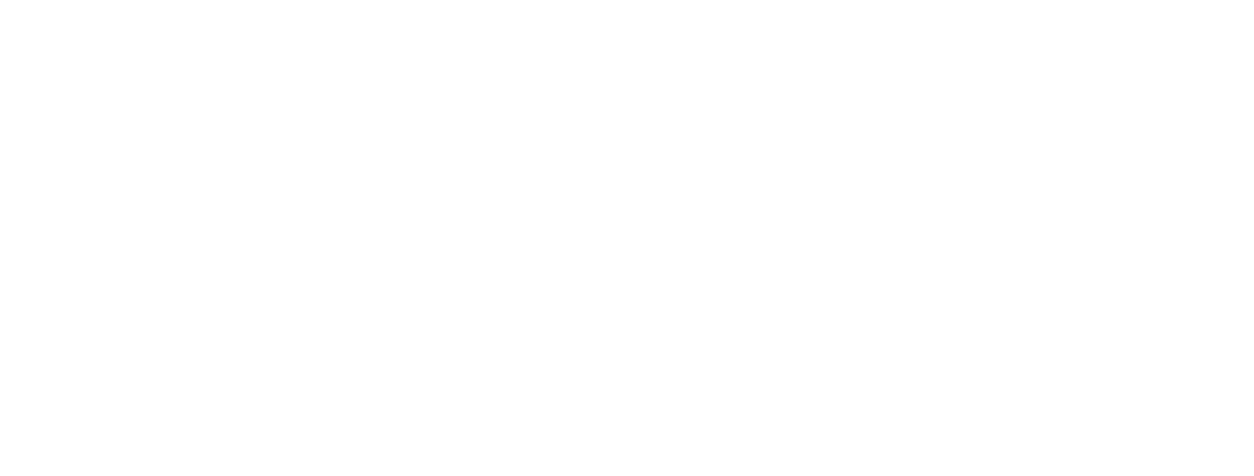 infografia carnaval