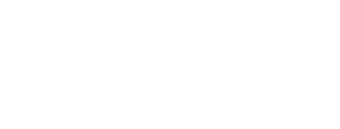 Infographie Carneval