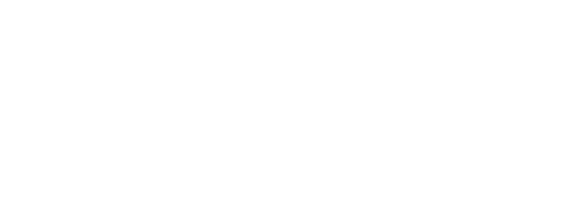 grafica, festival svizzeri