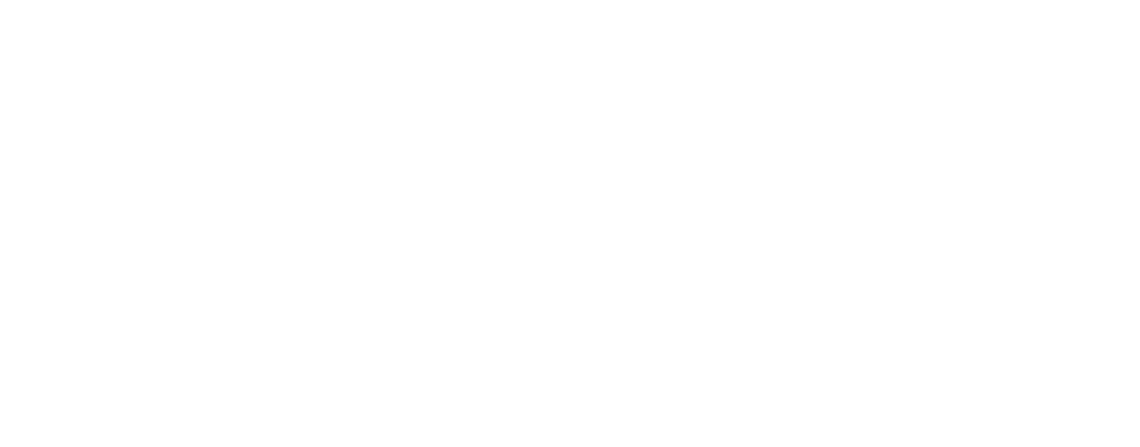 swiss world record infography