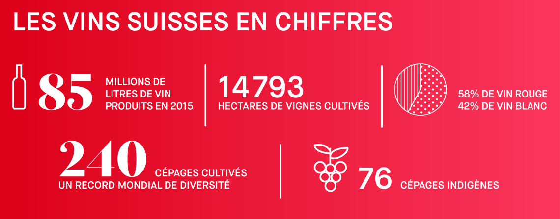 Infographie sur le vin suisse