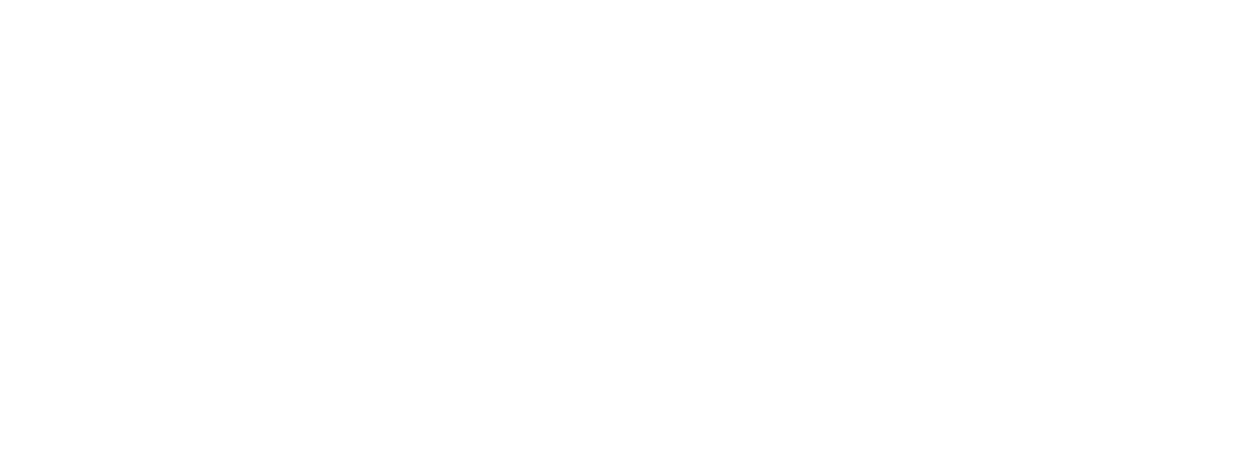 Schweiz Floorball Infografie
