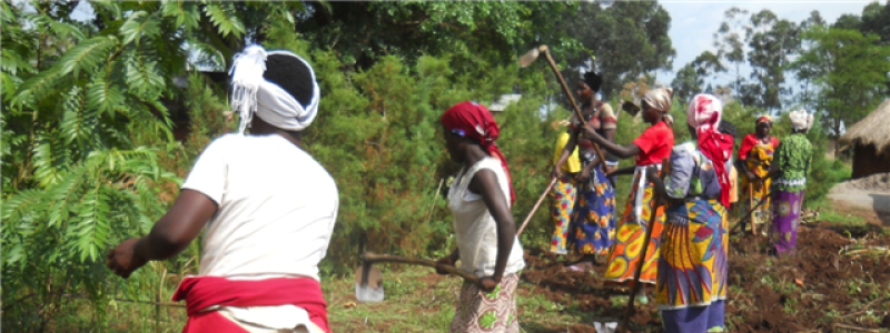 Un progetto Global Changemakers in un campo profughi in Uganda