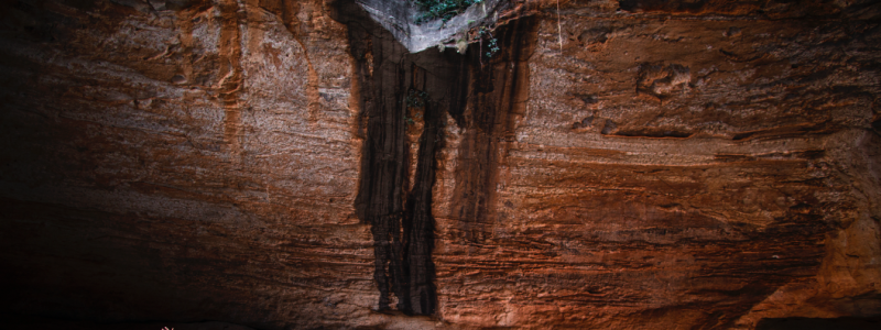 In September 2015, Sarah Marquis celebrates reaching Purnululu National Park in North-Western Australia after three months of walking. © Krystle Wright