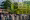 A lively House of Switzerland outdoor event space, with guests gathering around wooden tables beneath string lights and a distinctive green installation.
