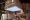 _K6A3825.jpg