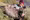 21-Aigles-PACKAGE-1616_C90012ZS_00-01-16.15.jpg