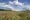 Agroscope_GabrielaBraendle_Blühstreifen_ Bestäuberstreifen_20170604_DSC3379.jpg